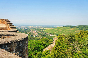 Blick von der Burg Baden ins Rheintal (Quelle: MSBu.de)
